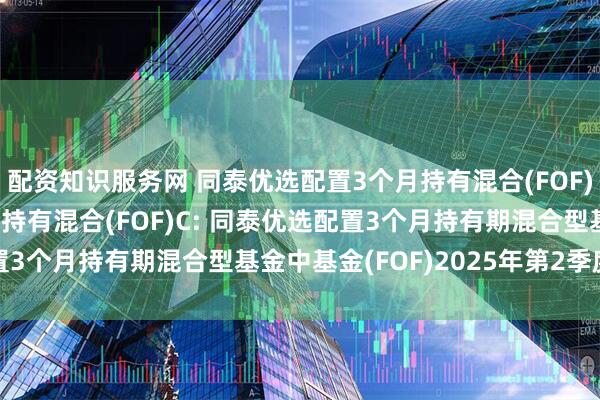 配资知识服务网 同泰优选配置3个月持有混合(FOF)A,同泰优选配置3个月持有混合(FOF)C: 同泰优选配置3个月持有期混合型基金中基金(FOF)2025年第2季度报告