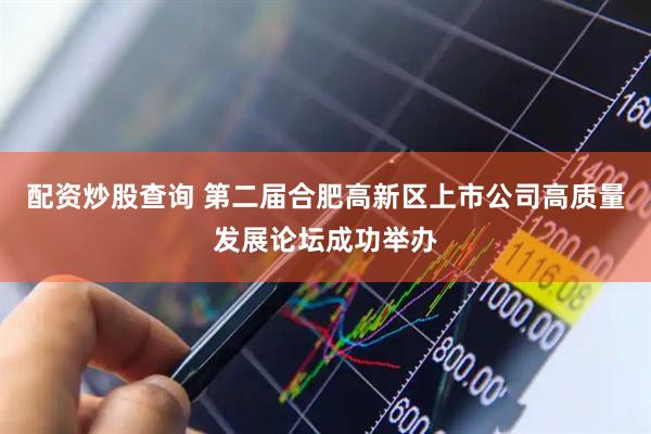 配资炒股查询 第二届合肥高新区上市公司高质量发展论坛成功举办