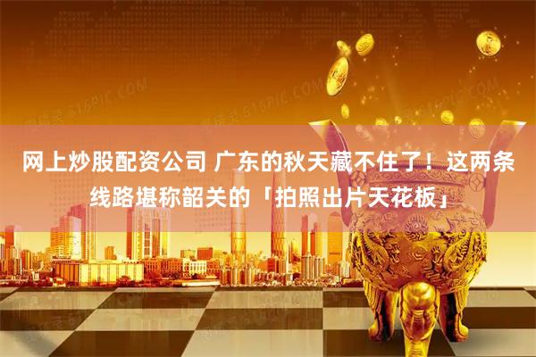 网上炒股配资公司 广东的秋天藏不住了！这两条线路堪称韶关的「拍照出片天花板」